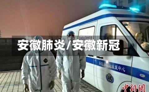 安徽肺炎/安徽新冠-第2张图片