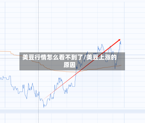 美豆行情怎么看不到了/美豆上涨的原因-第3张图片