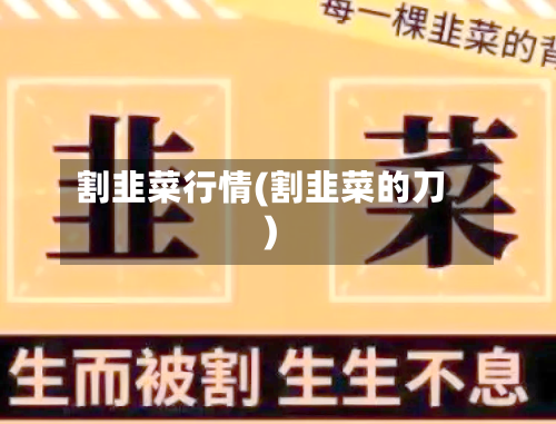 割韭菜行情(割韭菜的刀)-第2张图片