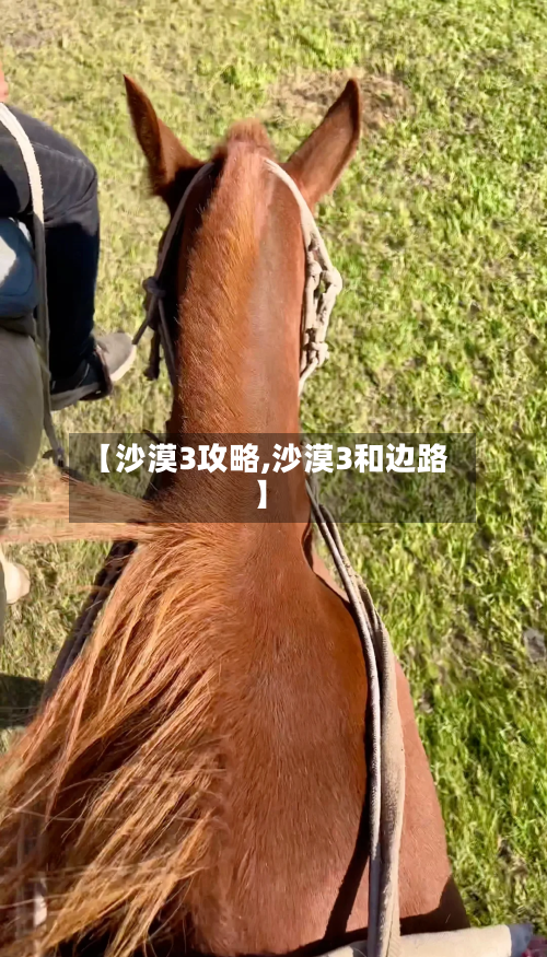【沙漠3攻略,沙漠3和边路】-第2张图片