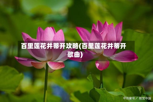 百里莲花并蒂开攻略(百里莲花并蒂开歌曲)-第2张图片