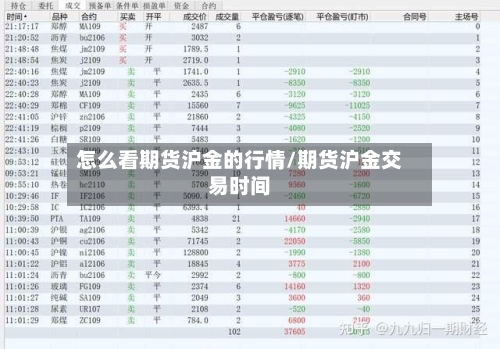 怎么看期货沪金的行情/期货沪金交易时间