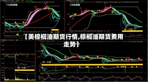 【美棕榈油期货行情,棕榈油期货费用走势】