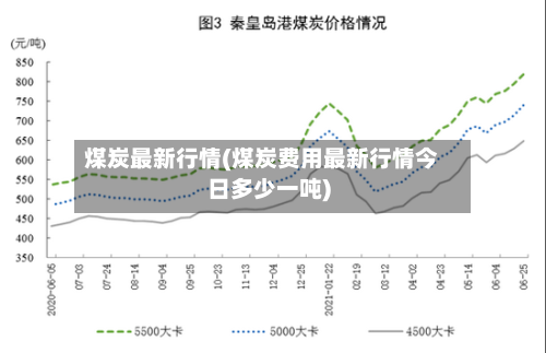 煤炭最新行情(煤炭费用最新行情今日多少一吨)