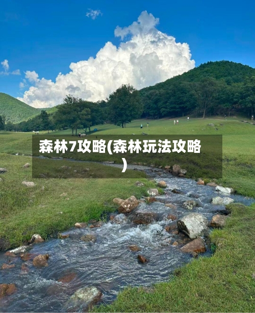 森林7攻略(森林玩法攻略)-第3张图片