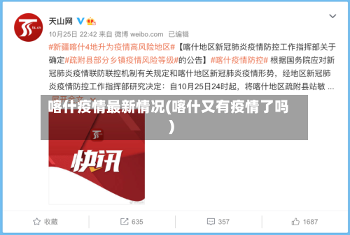 喀什疫情最新情况(喀什又有疫情了吗)