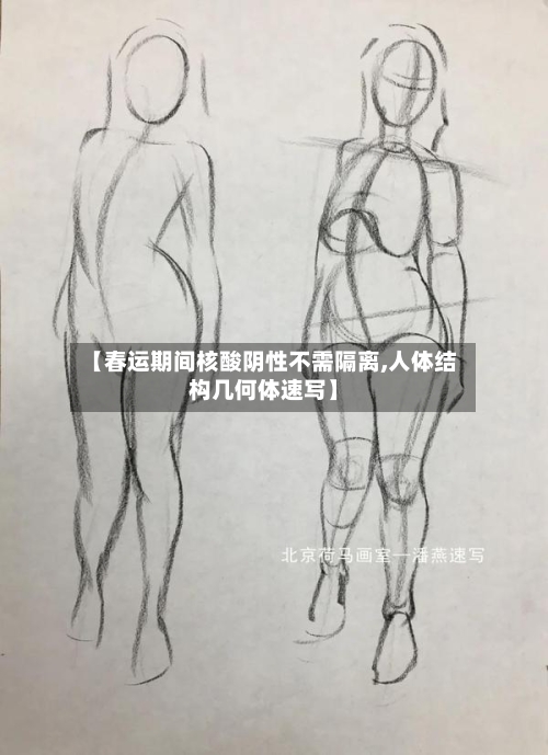 【春运期间核酸阴性不需隔离,人体结构几何体速写】-第2张图片