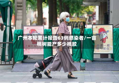 广州本轮累计报告63例感染者/一亩桃树能产多少桃胶