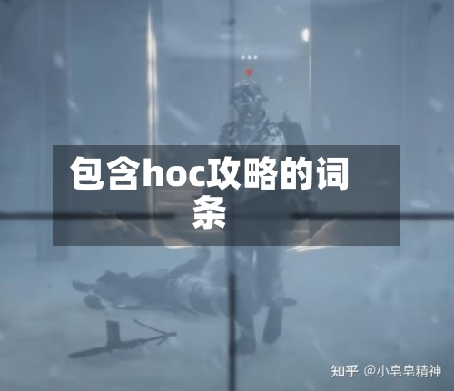 包含hoc攻略的词条-第2张图片