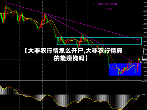 【大非农行情怎么开户,大非农行情真的能赚钱吗】