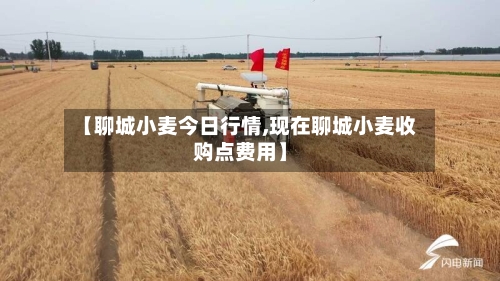 【聊城小麦今日行情,现在聊城小麦收购点费用】