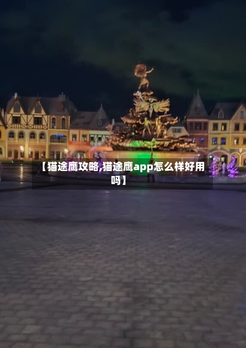 【猫途鹰攻略,猫途鹰app怎么样好用吗】
