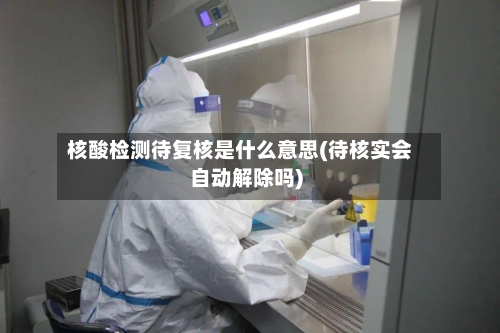 核酸检测待复核是什么意思(待核实会自动解除吗)