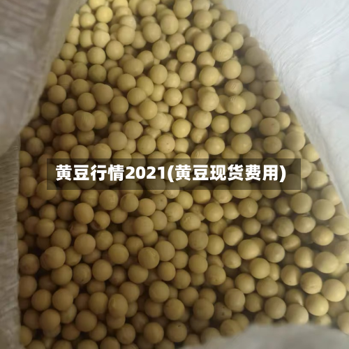 黄豆行情2021(黄豆现货费用)