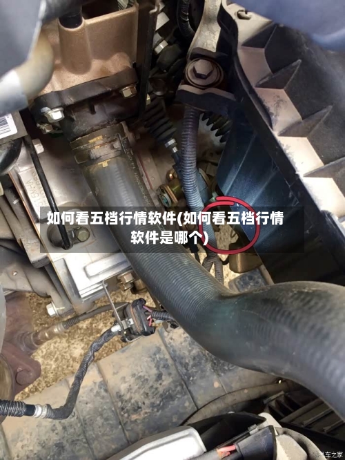 如何看五档行情软件(如何看五档行情软件是哪个)