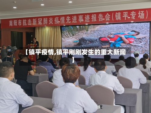 【镇平疫情,镇平刚刚发生的重大新闻】-第2张图片