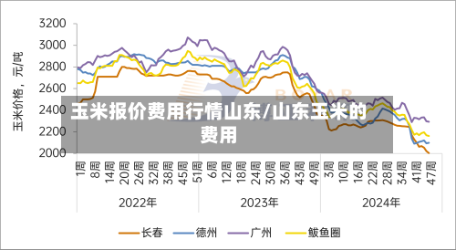 玉米报价费用行情山东/山东玉米的费用