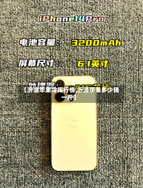 【沂源苹果冷库行情,沂源苹果多少钱一斤】