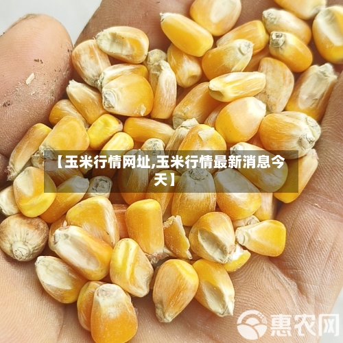 【玉米行情网址,玉米行情最新消息今天】-第2张图片