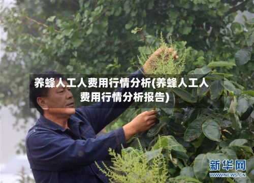 养蜂人工人费用行情分析(养蜂人工人费用行情分析报告)-第2张图片