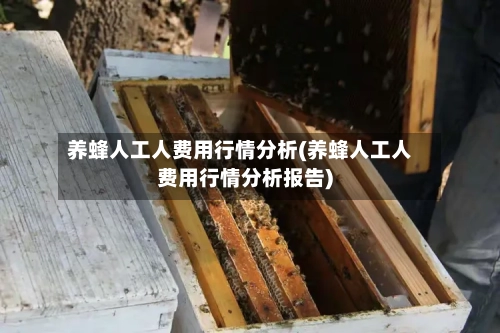 养蜂人工人费用行情分析(养蜂人工人费用行情分析报告)
