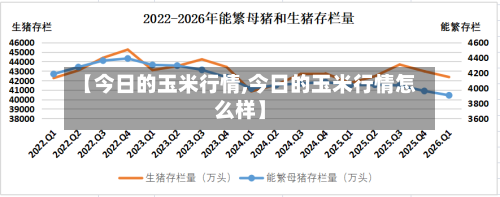 【今日的玉米行情,今日的玉米行情怎么样】-第1张图片