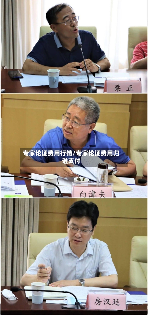专家论证费用行情/专家论证费用归谁支付-第2张图片