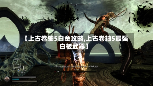 【上古卷轴5白金攻略,上古卷轴5最强白板武器】