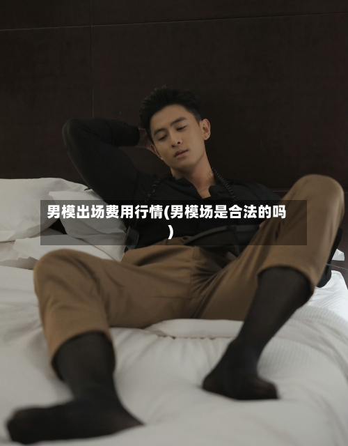 男模出场费用行情(男模场是合法的吗)