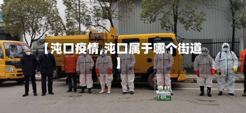 【沌口疫情,沌口属于哪个街道】-第3张图片