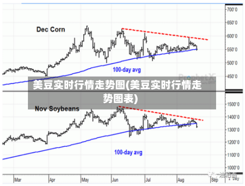 美豆实时行情走势图(美豆实时行情走势图表)-第3张图片