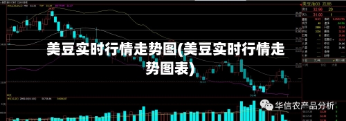 美豆实时行情走势图(美豆实时行情走势图表)-第2张图片