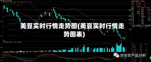 美豆实时行情走势图(美豆实时行情走势图表)-第1张图片