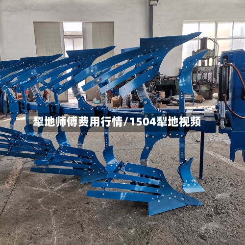 犁地师傅费用行情/1504犁地视频-第1张图片