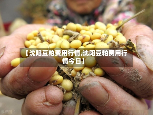 【沈阳豆粕费用行情,沈阳豆粕费用行情今日】
