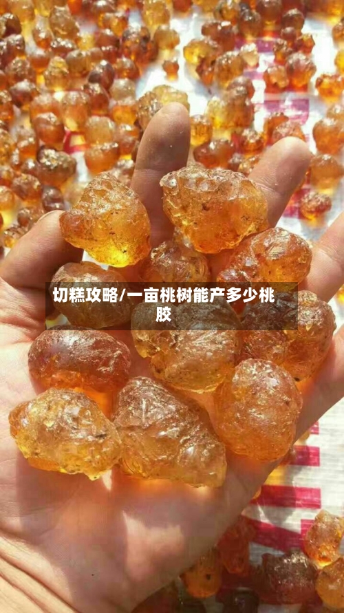 切糕攻略/一亩桃树能产多少桃胶-第1张图片