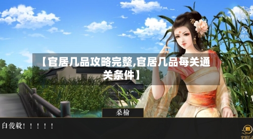【官居几品攻略完整,官居几品每关通关条件】