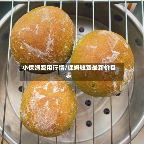 小保姆费用行情/保姆收费最新价目表-第3张图片