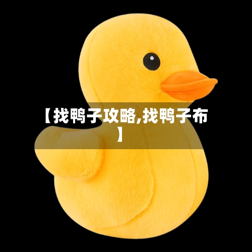 【找鸭子攻略,找鸭子布】-第2张图片