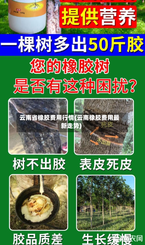 云南省橡胶费用行情(云南橡胶费用最新走势)-第2张图片