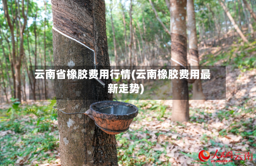 云南省橡胶费用行情(云南橡胶费用最新走势)