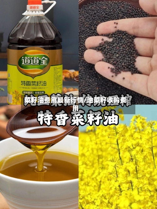 菜籽油费用最新行情/油菜籽收购费用