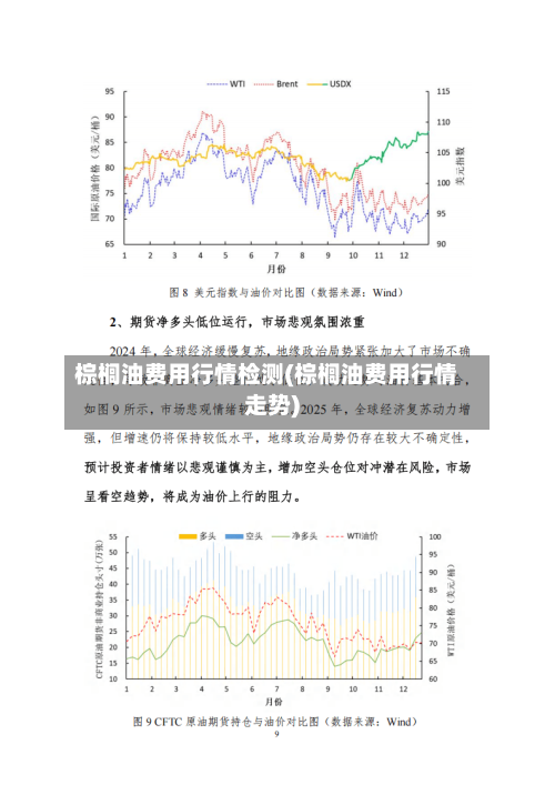 棕榈油费用行情检测(棕榈油费用行情走势)