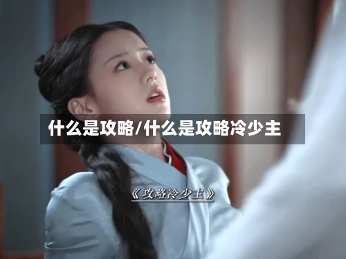 什么是攻略/什么是攻略冷少主