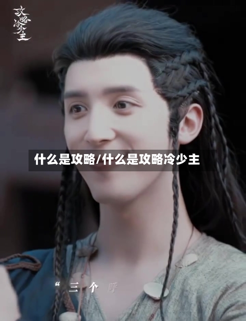 什么是攻略/什么是攻略冷少主-第3张图片