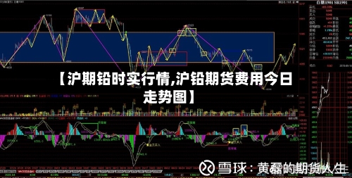 【沪期铅时实行情,沪铅期货费用今日走势图】-第3张图片