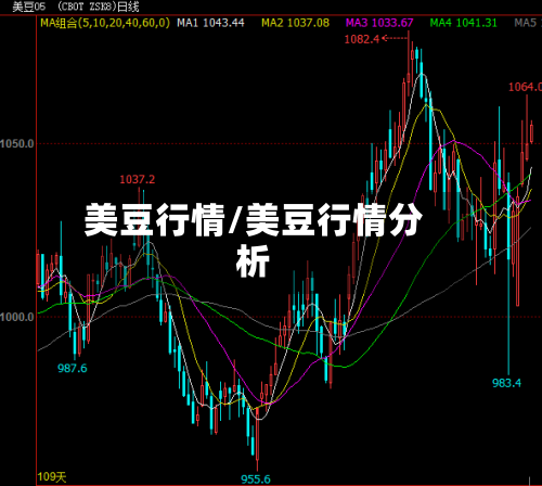 美豆行情/美豆行情分析-第1张图片