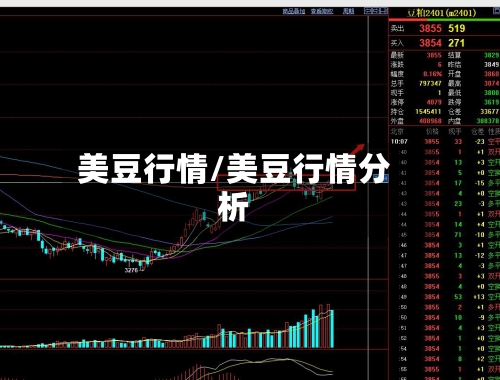 美豆行情/美豆行情分析-第3张图片