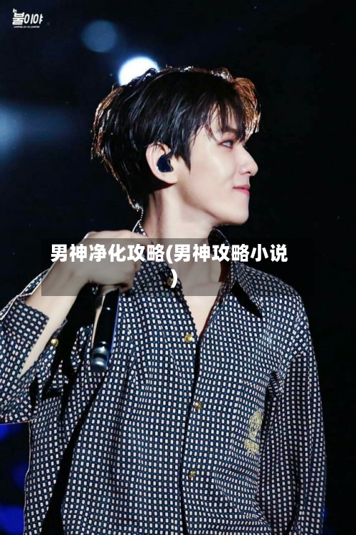 男神净化攻略(男神攻略小说)