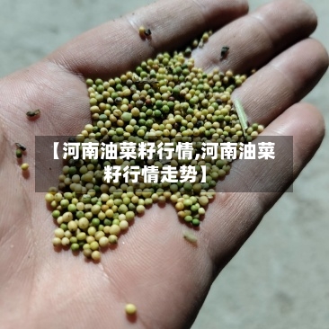 【河南油菜籽行情,河南油菜籽行情走势】-第2张图片